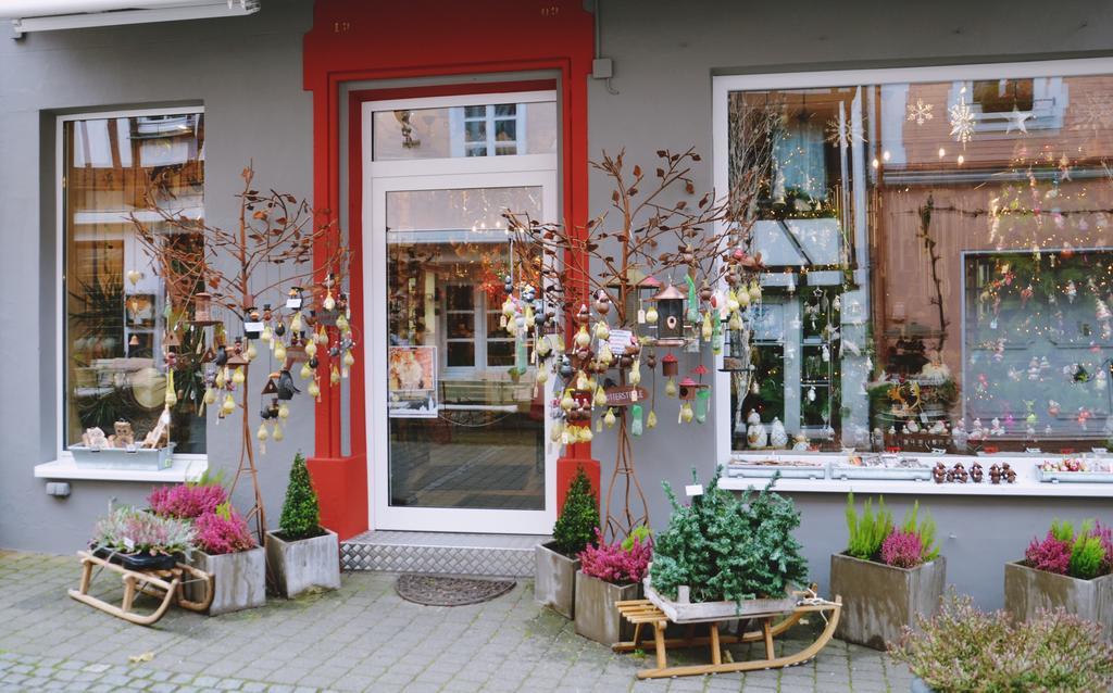 Vila Mosel Roeschen Bernkastel-Kues Exteriér fotografie